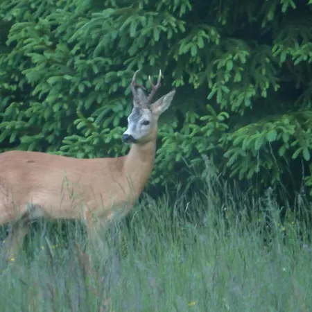 Rodinný ždiaran Penzion