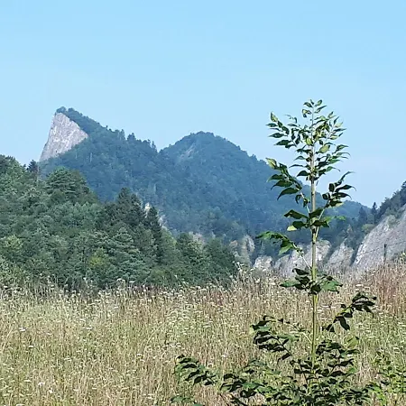 Rodinný ždiaran Ždiar