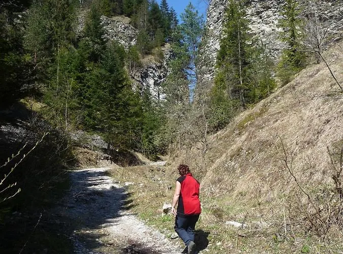 Gasthof Rodinny Zdiaran