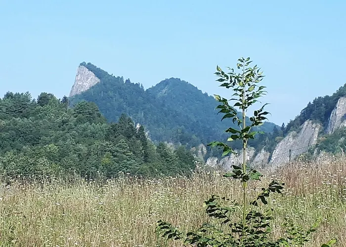 Rodinny Zdiaran Ždiar